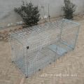 Ptak pułapka humanitarna pułapka na zwierzęta c Catching